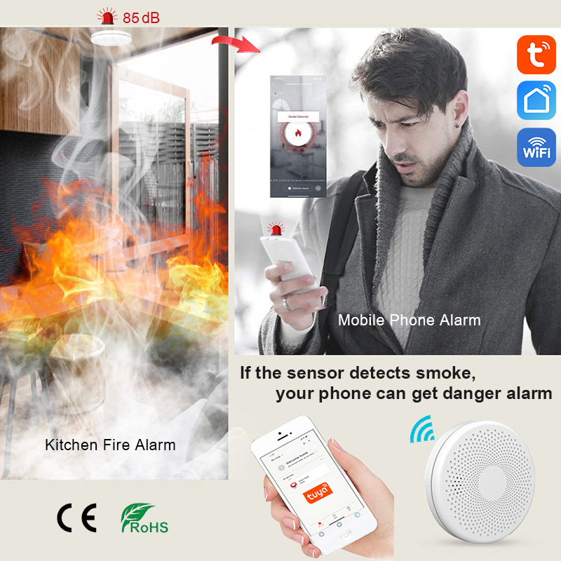 2 in 1 Version WiFi Tuya Smart - Smoke Detector Interconnected ulasan dan harga