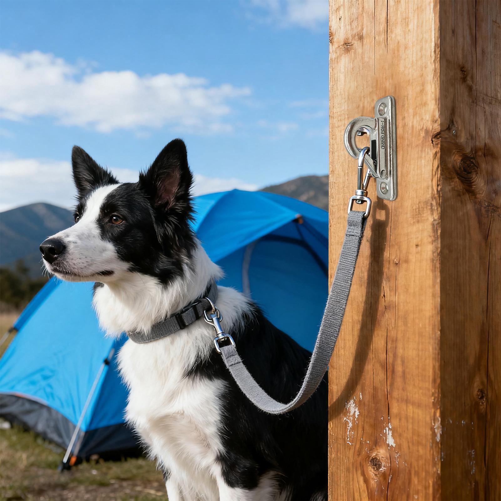Dog Leashes Holder for Wall Pe - Security Chain Door ulasan dan harga